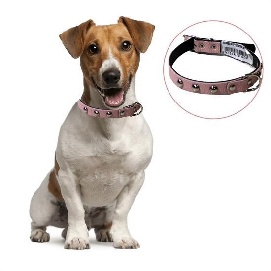shop® Yumuşak Dokulu Deri Köpek Gezdirme Boyun Tasması Medium