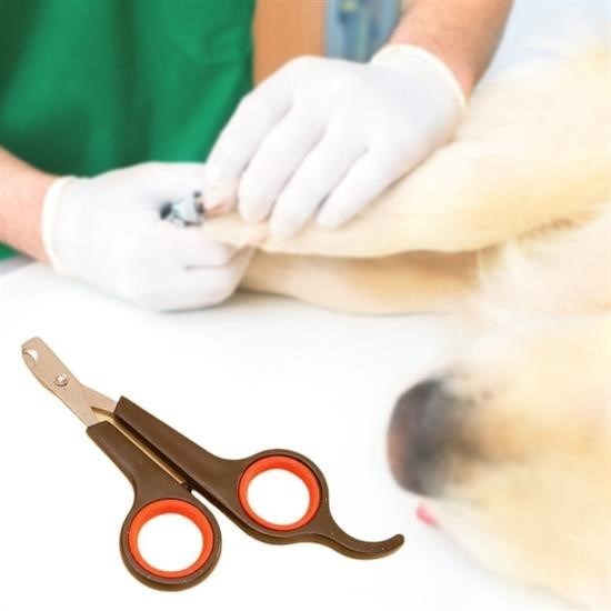 shop Küçük Çelik Uçlu Kedi Köpek Evcil Hayvan Tırnak Makası Pati Bakım Aleti Ergonomik Kaymaz Sap