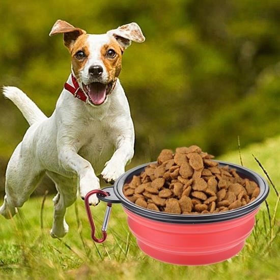 shop® Katlanabilir Kedi Köpek Mama ve Su Kabı Köpek Oyuncağı