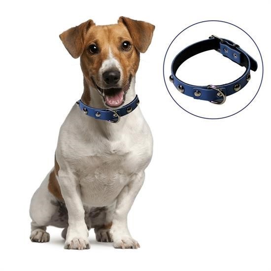 shop® Yumuşak Dokulu Deri Köpek Gezdirme Boyun Tasması (Large)