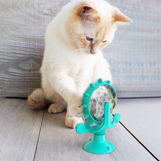 shop® Vantuzlu Zilli İnteraktif Dönebilen Mama Kaplı Renkli Eğlenceli Eğitici Kedi Oyuncağı
