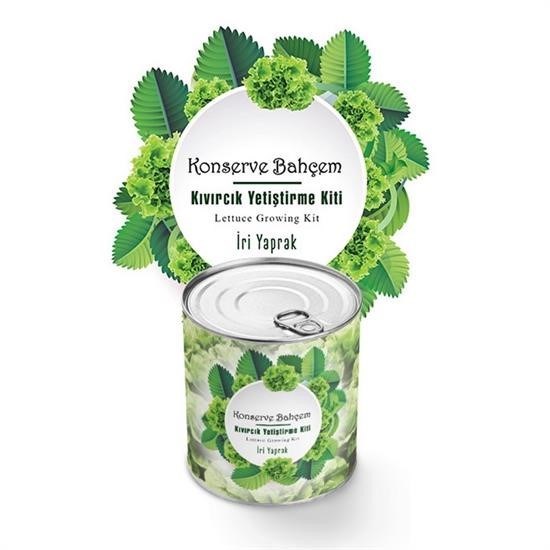shop® Konserve Bahçem Evde Konservede İri Yapraklı Kıvırcık Yetiştirme Kiti