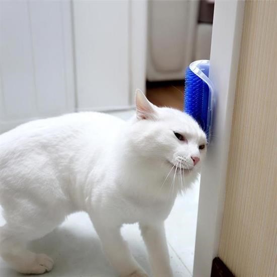 shop®  Pratik Kedi Tüyü Kaşıma Ve Tarama Aparatı Duvara Monte Kaşıma Aleti