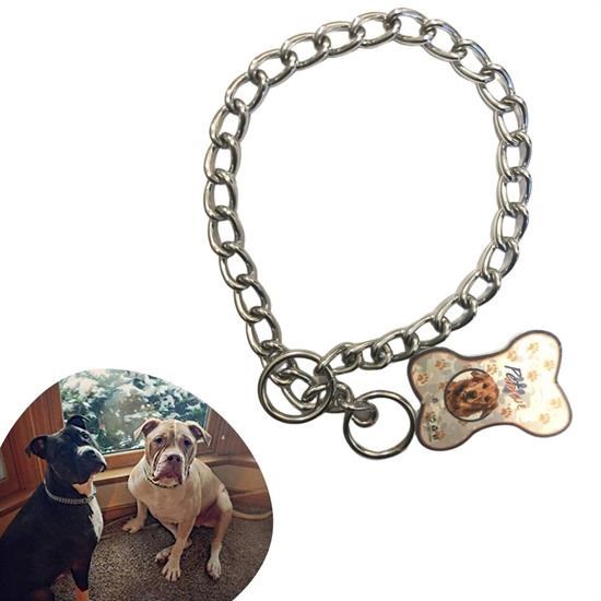 shop® 65 cm Uzunlukta Zincir Model Köpek İçin Boyun Tasması