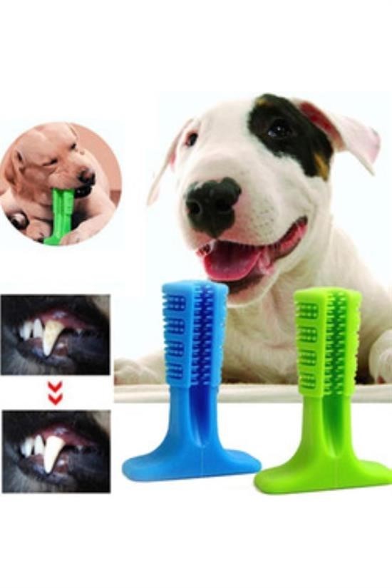 shop® Köpek Diş Temizleyici ve Kaşıyıcı Sağlıklı Küçük Boy Oyuncak
